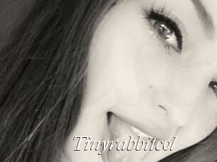 Tinyrabbitcol