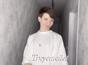 Troyemellet