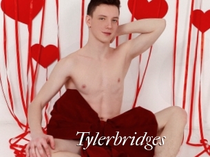 Tylerbridges