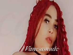 Vanesamude