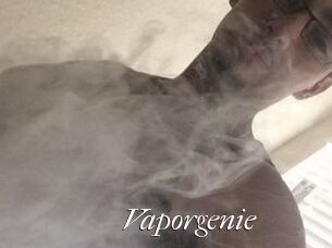 Vapor_genie