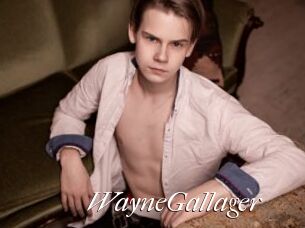 WayneGallager