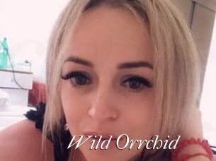 Wild_Orrchid