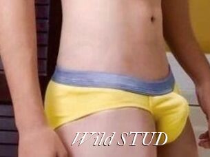 Wild_STUD