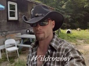 Wildcowboy