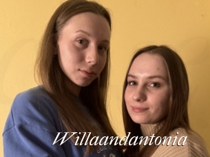 Willaandantonia