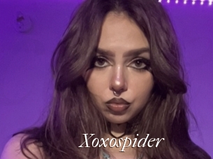 Xoxospider