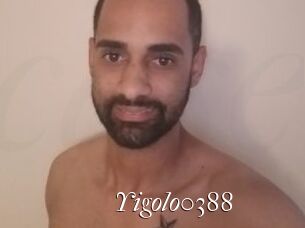 Yigolo0388